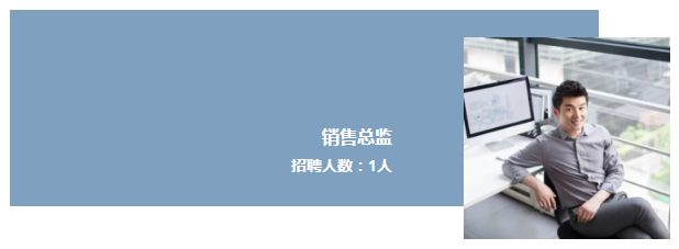 逸诚财税销售总监
