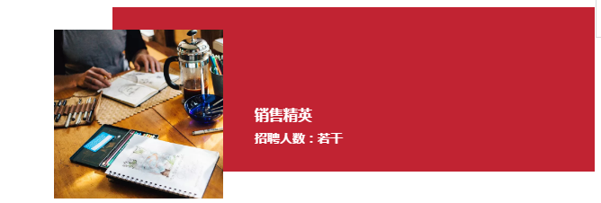逸诚财税销售精英