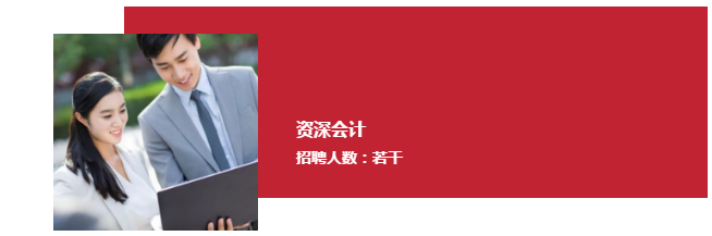 逸诚财税资深会计