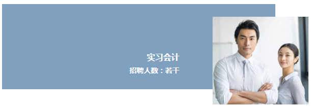 逸诚财税实习会计